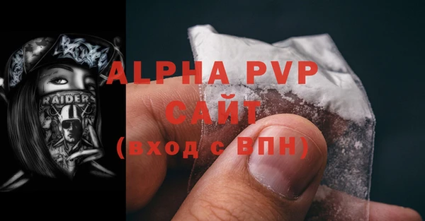 гашик Коряжма