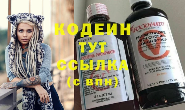 гашик Коряжма