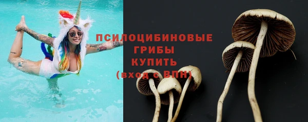 гашик Коряжма