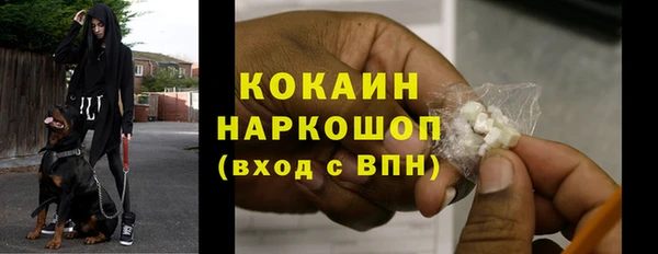 гашик Коряжма
