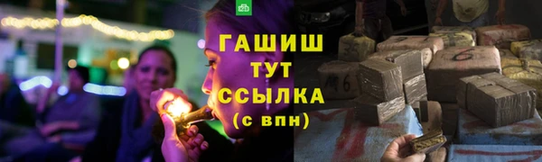 гашик Коряжма