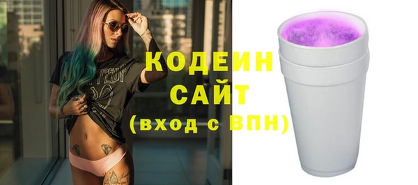 гашик Коряжма
