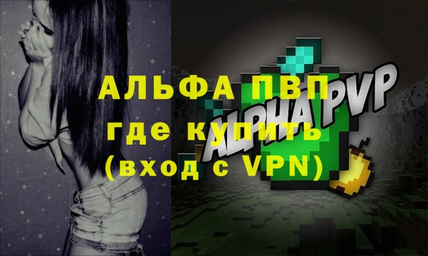 гашик Коряжма