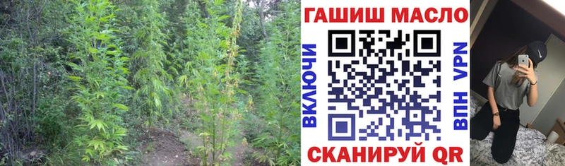 ТГК гашишное масло  Купить закладки  Судогда 