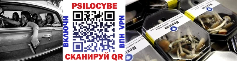 Купить где  Судогда  Галлюциногенные грибы Magic Shrooms 