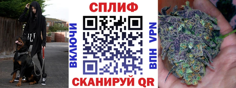 Купить  Судогда  Каннабис VHQ 